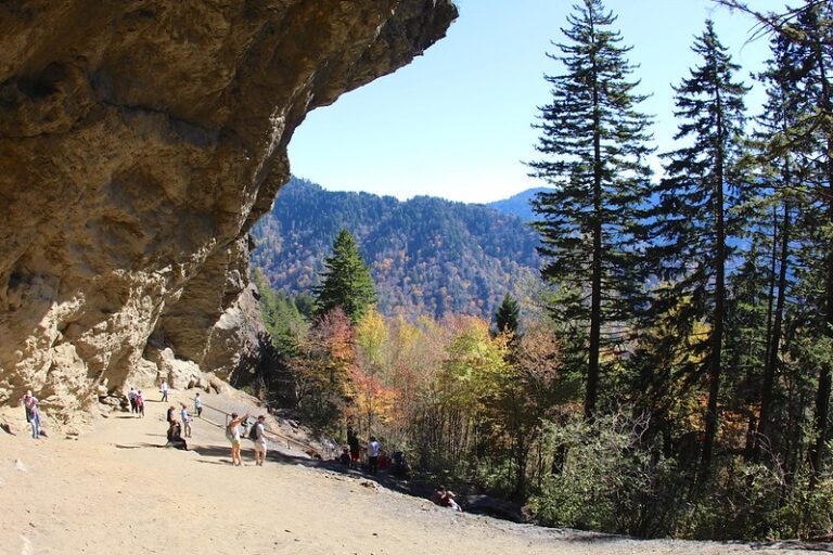 Alum Cave Trail – Great Smoky Mountains National Park Guide