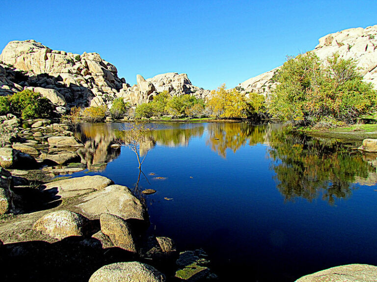 Barker Dam Trail – Joshua Tree National Park Guide