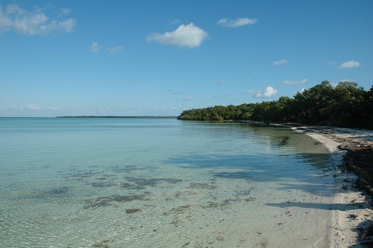 Elliott Key Camping – Biscayne National Park Guide