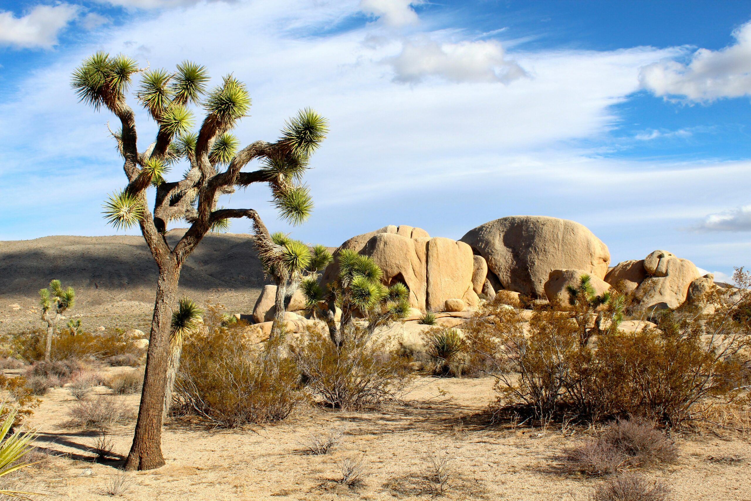 Hidden Valley Nature Trail Hiking Guide – Joshua Tree National Park