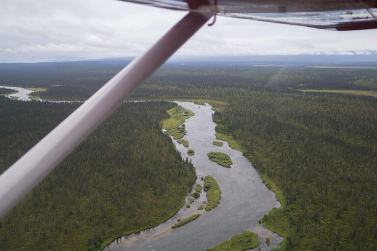 Alagnak Wild River