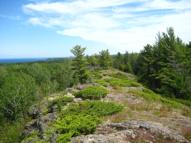 Minong Ridge Trek – Isle Royale National Park Guide
