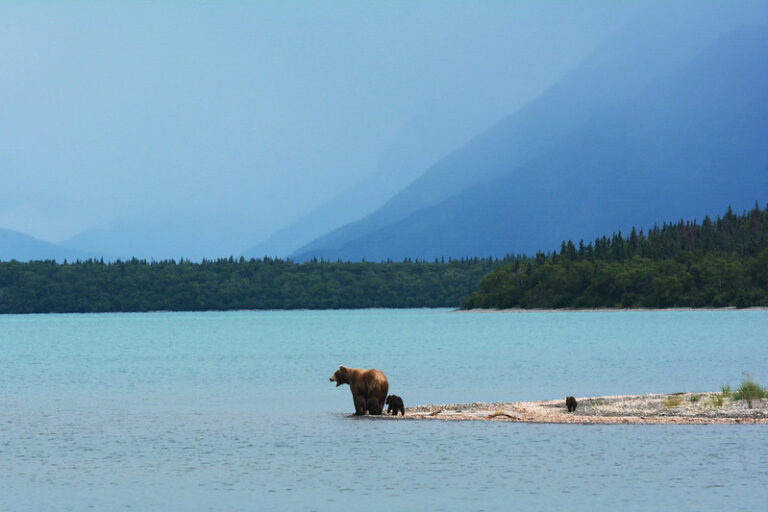 Naknek Lake Boat Tour – Katmai National Park Guide