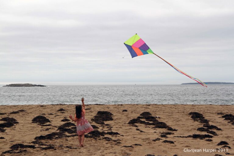 Acadia National Park Trip Planning Guide